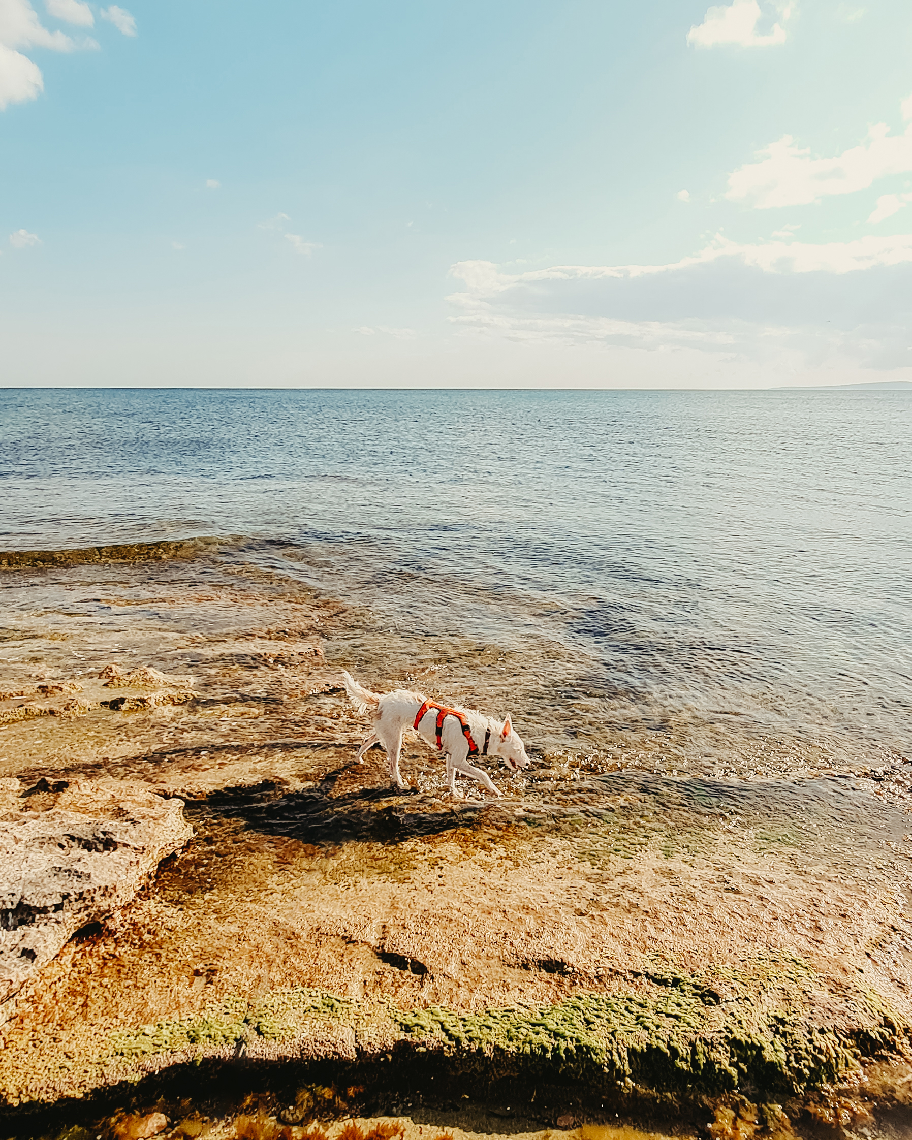 Boda en Mallorca casarse en Palma fotografos de bodas natural y elegante. Sesión de fotos el día de la boda. Reportaje de boda